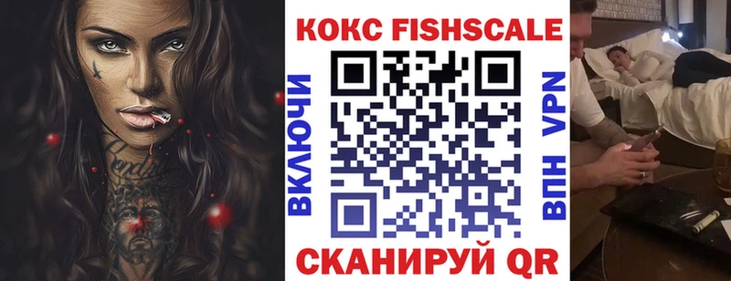 COCAIN FishScale  Купить закладки  Чудово 