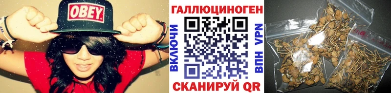 Псилоцибиновые грибы ЛСД  Купить где  Чудово 