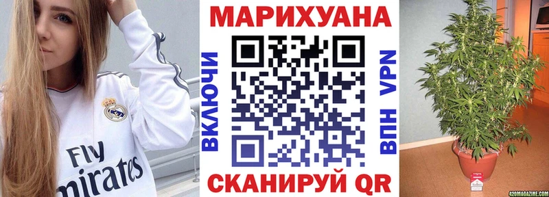 Канабис сатива  Купить  Чудово 